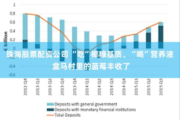 珠海股票配资公司 “吃”椰糠基质、“喝”营养液 盒马村里的蓝莓丰收了