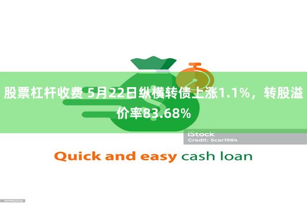 股票杠杆收费 5月22日纵横转债上涨1.1%，转股溢价率83.68%