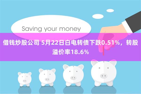 借钱炒股公司 5月22日白电转债下跌0.51%，转股溢价率18.6%