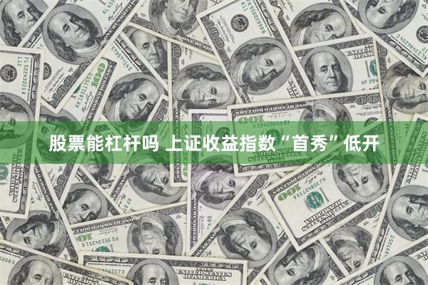 股票能杠杆吗 上证收益指数“首秀”低开