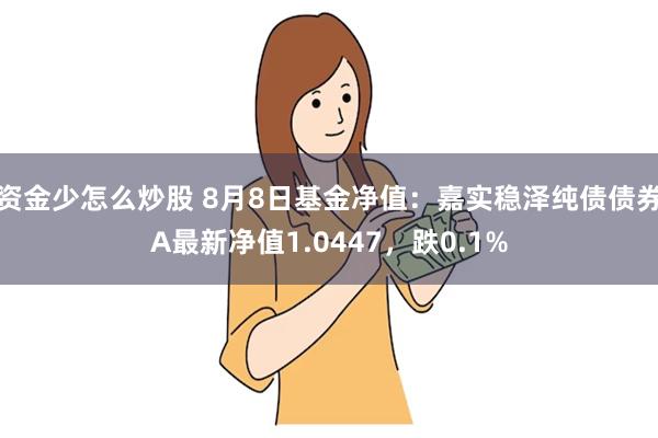 资金少怎么炒股 8月8日基金净值：嘉实稳泽纯债债券A最新净值1.0447，跌0.1%