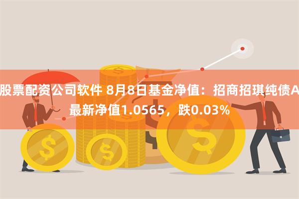 股票配资公司软件 8月8日基金净值：招商招琪纯债A最新净值1.0565，跌0.03%