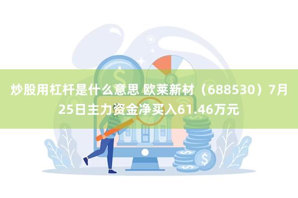 炒股用杠杆是什么意思 欧莱新材（688530）7月25日主力资金净买入61.46万元