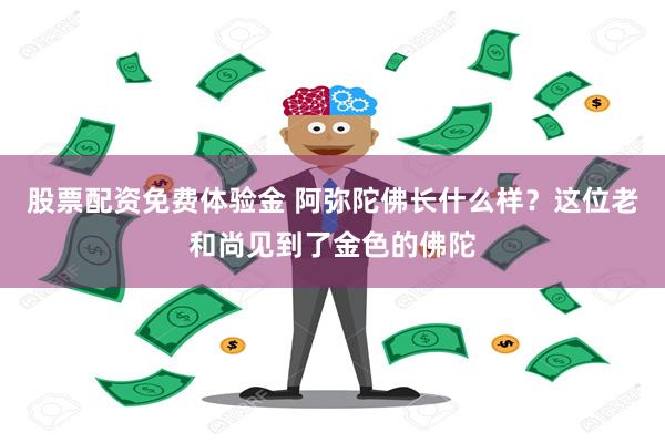 股票配资免费体验金 阿弥陀佛长什么样？这位老和尚见到了金色的佛陀