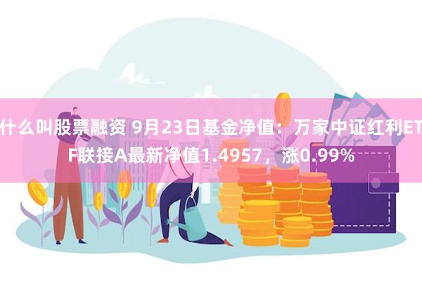 什么叫股票融资 9月23日基金净值：万家中证红利ETF联接A最新净值1.4957，涨0.99%