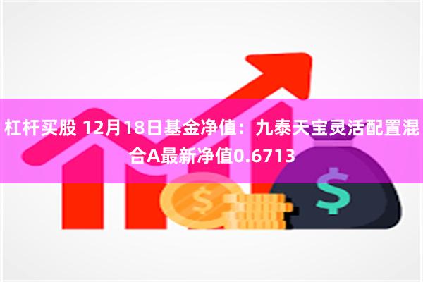 杠杆买股 12月18日基金净值：九泰天宝灵活配置混合A最新净值0.6713